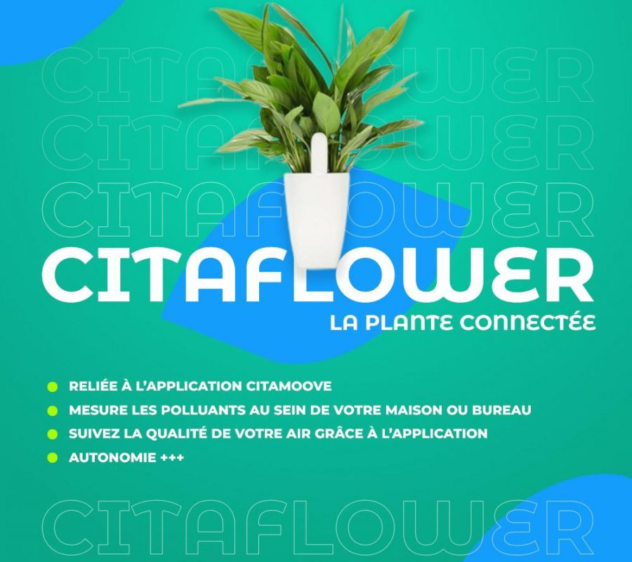 WhatsApp Image 2023-06-07 at 14.42.38 (1)